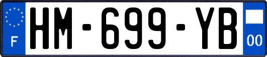 HM-699-YB