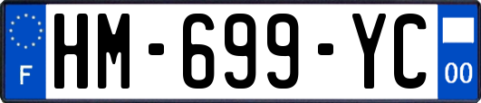 HM-699-YC