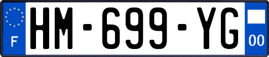 HM-699-YG