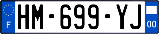 HM-699-YJ