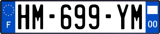 HM-699-YM