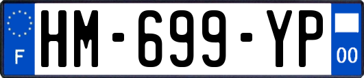 HM-699-YP