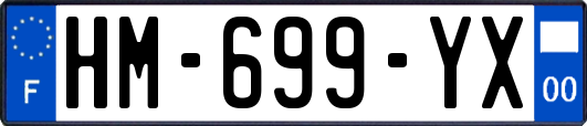 HM-699-YX
