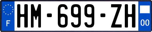 HM-699-ZH