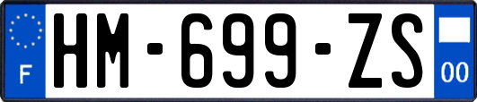 HM-699-ZS