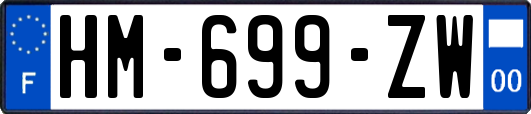 HM-699-ZW