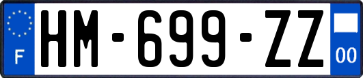 HM-699-ZZ