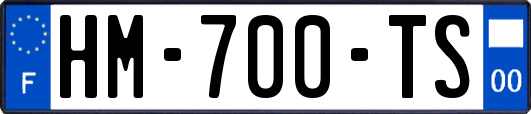 HM-700-TS