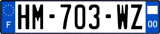 HM-703-WZ