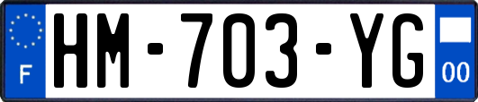 HM-703-YG