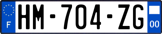 HM-704-ZG