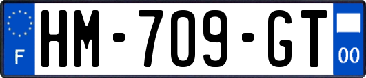 HM-709-GT