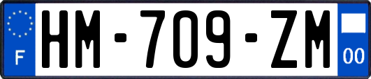 HM-709-ZM