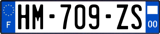 HM-709-ZS