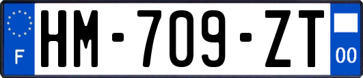 HM-709-ZT