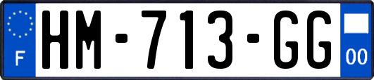 HM-713-GG