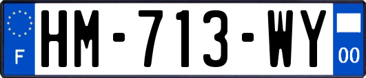 HM-713-WY
