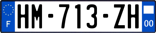 HM-713-ZH