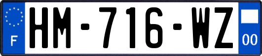 HM-716-WZ