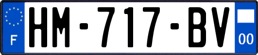 HM-717-BV