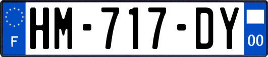 HM-717-DY