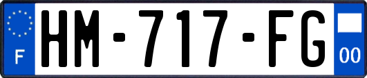 HM-717-FG