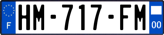 HM-717-FM