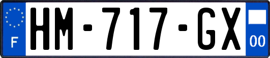 HM-717-GX