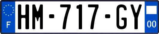 HM-717-GY