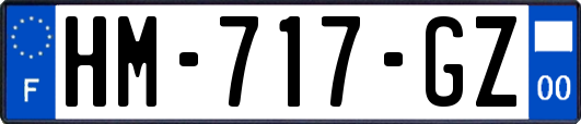HM-717-GZ