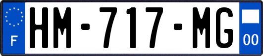 HM-717-MG