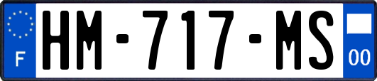 HM-717-MS