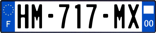 HM-717-MX