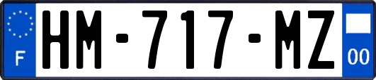 HM-717-MZ