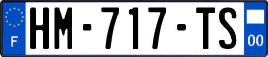 HM-717-TS