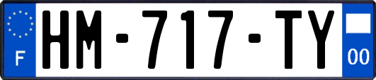 HM-717-TY