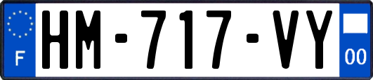 HM-717-VY