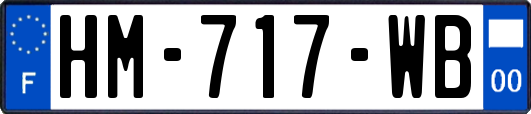 HM-717-WB