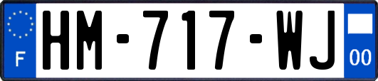 HM-717-WJ