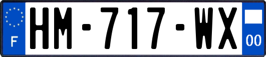 HM-717-WX