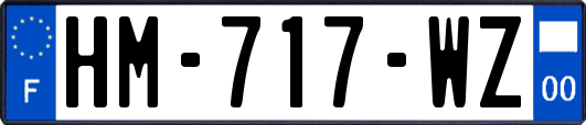 HM-717-WZ