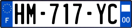 HM-717-YC
