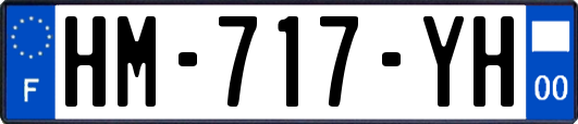 HM-717-YH