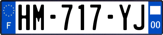 HM-717-YJ