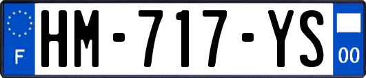 HM-717-YS