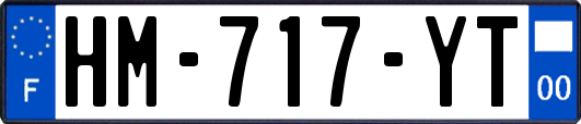 HM-717-YT