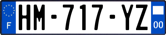 HM-717-YZ
