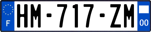 HM-717-ZM