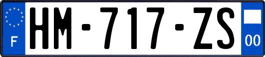 HM-717-ZS