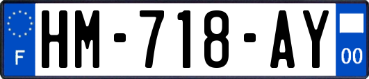 HM-718-AY